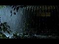 Rain on Metal Roof for Deep Sleep 🌧️ Calm Thunderstorm Night Ambience #20