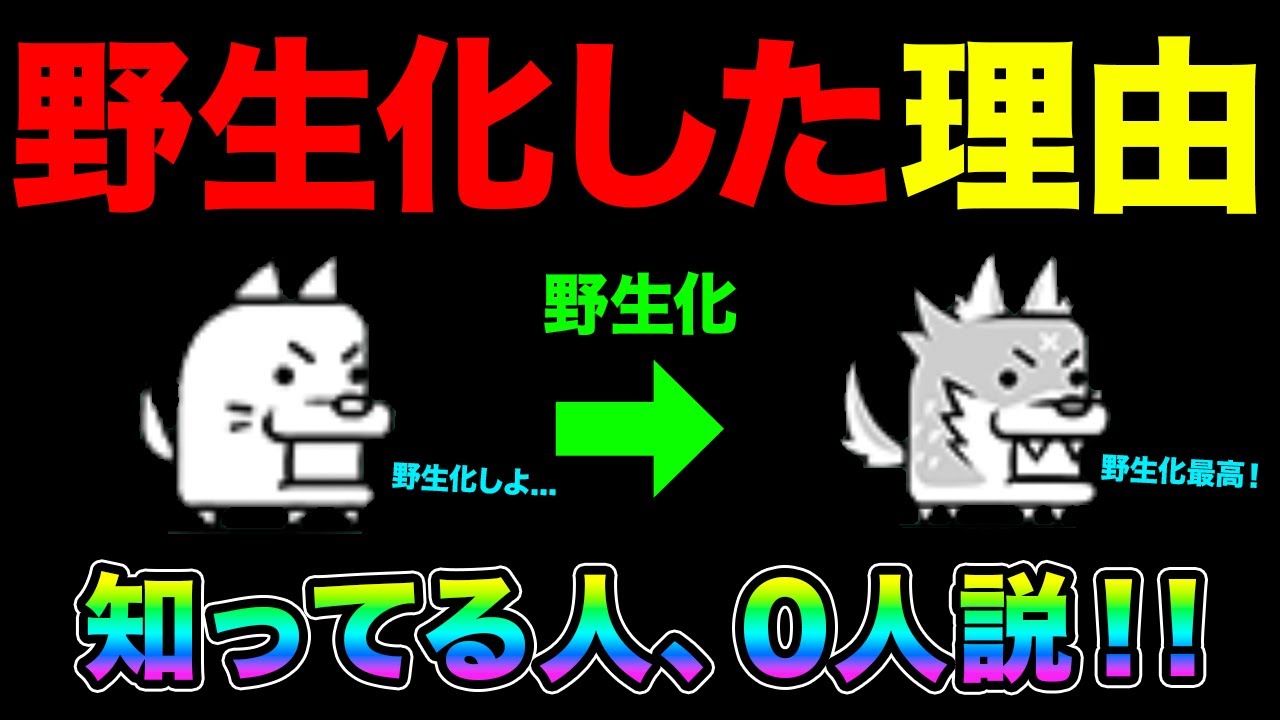わんこが野生化した理由を知ってたら、神にゃんこプレイヤー！！【ネタ
