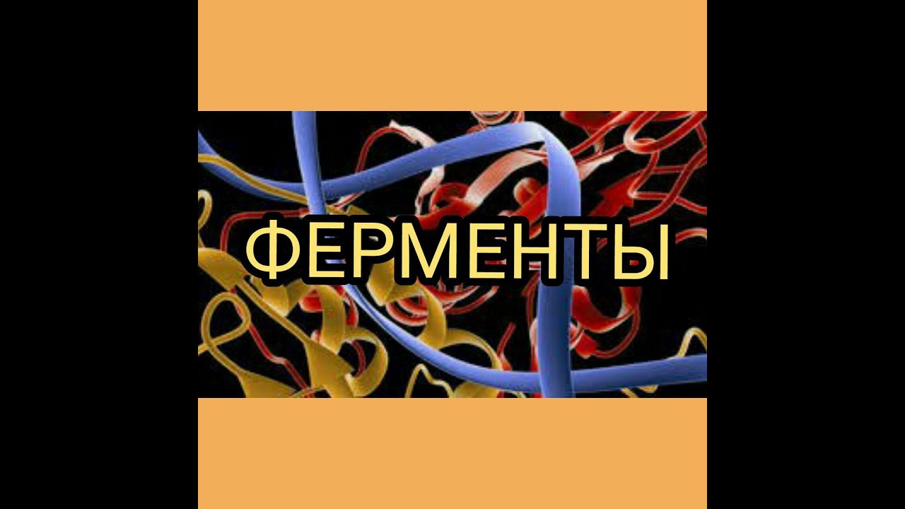 Чем грозит нехватка антифриза