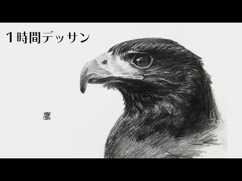 60 ライブドローイング 鷹をリアルに描くデッサン Drawing Youtube