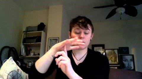 ASL 4: Semantic Classifiers