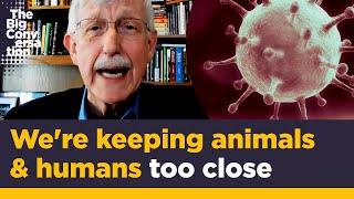 Francis Collins explains how COVID started