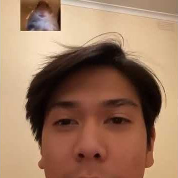 Serasa video call