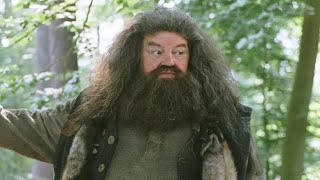 Nick Frost Transforms Into a Cuddly Hagrid in HBO’s Harry Potter Reboot – First Look!
