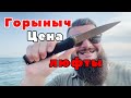 Какие стали будут на новых ножах? Отломал кончик на ноже. Как исправить? Углы заточки