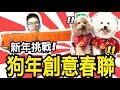 新年挑戰「狗年創意春聯」？！狗狗居然也會寫春聯？！| 寒假日更#19【雞腿 希露弟弟】