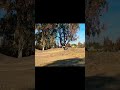 Happy halloween🎃everybody… more wheelie clips otw