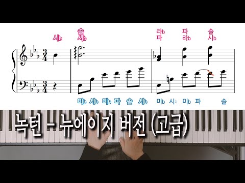 Nocturne Op.9 No.2 (녹턴 2번) (뉴에이지 버전) - F. Chopin (쇼팽)