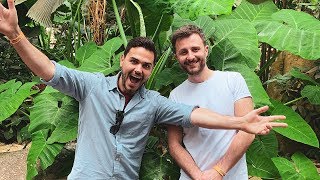 The Worlds Largest Biodome Bts At The Eden Project