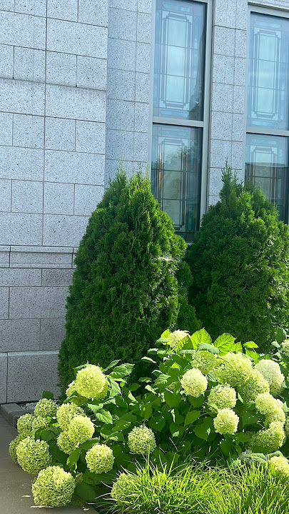 Flowers at the Montreal Temple