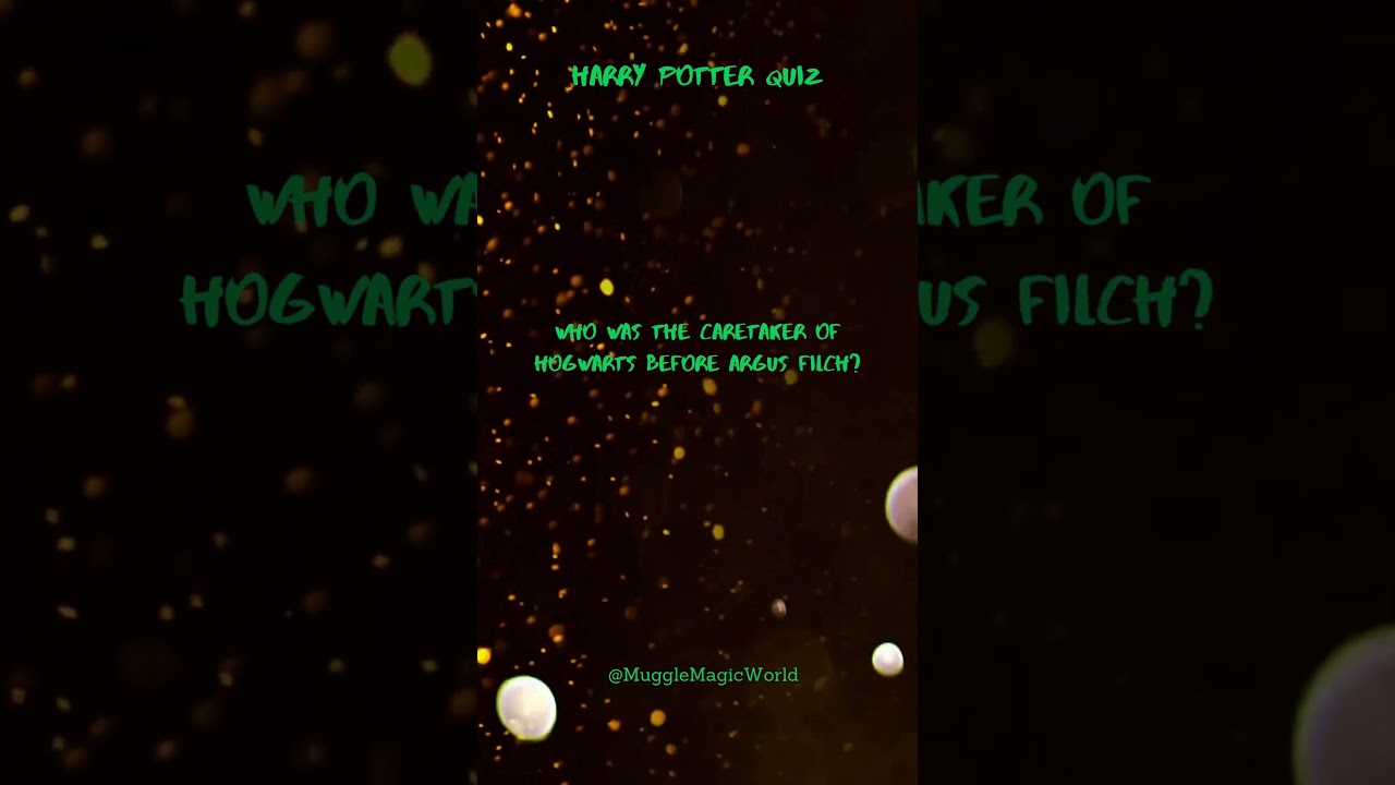 Harry Potter Universe Quiz