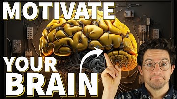 The Neuroscience of Intrinsic Motivation - Sense of Mind