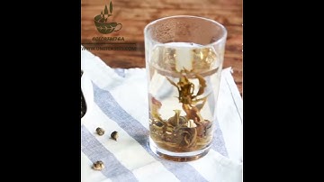 Thumbnail of Dragon Pearl Jasmine Green Tea