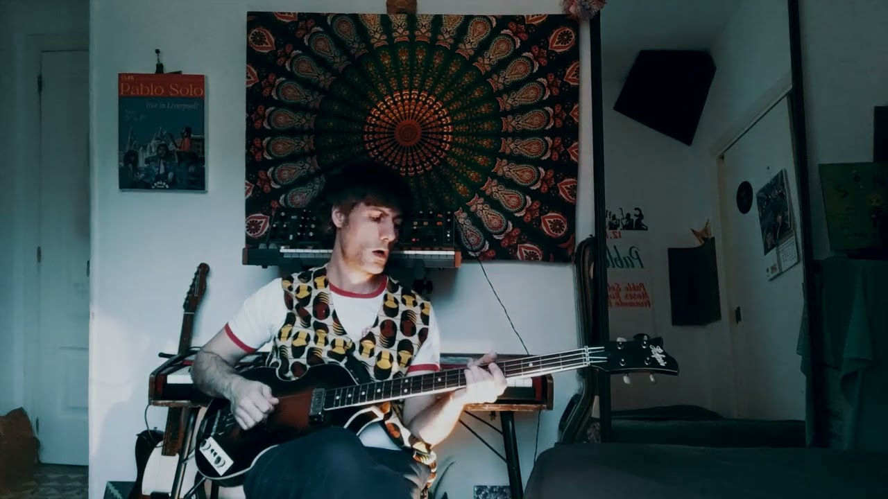 GOOD VIBRATIONS (The Beach Boys) - Bass cover