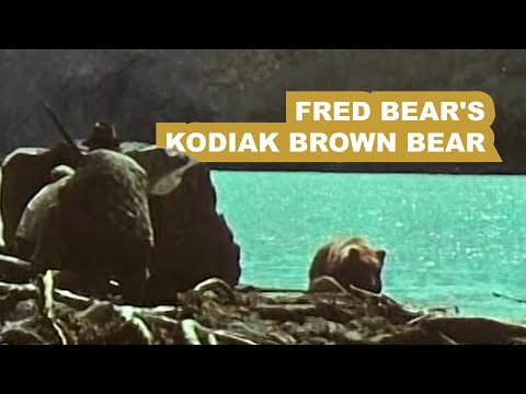 Fred Bear’s Kodiak Brown Bear