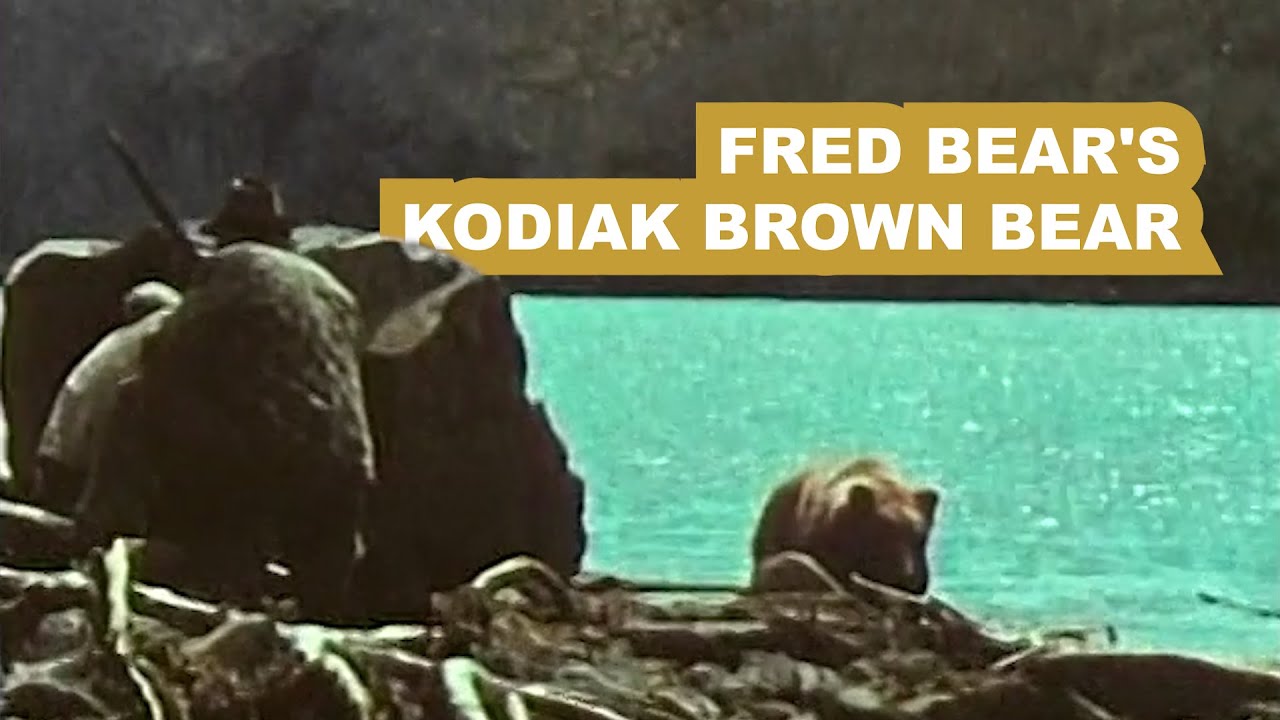 Fred Bear’s Kodiak Brown Bear