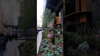 good Morning New York manhattan #travel #tours