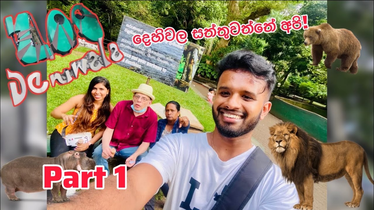 Dehiwala Zoo සතුන් 3000කටත් වඩා වැඩි ප්‍රමාණයක් ඉන්න Zoo එක Part 1 