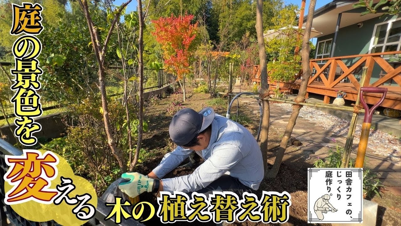 【庭 DIY】冬の到来！カフェの景色を変える庭木の植え替え