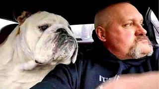 When Dogs Copy Humans Like Born Comedians 🤣 Funny Dog and Human screenshot 3