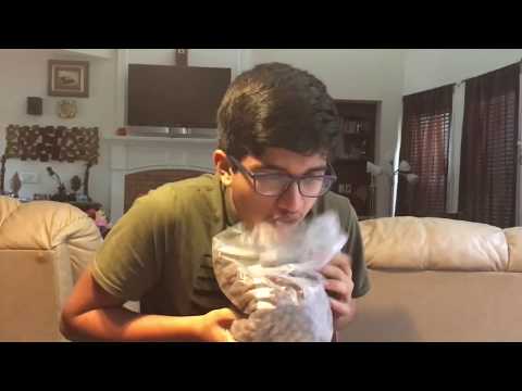 How To Be A Social Outcast (Best Explanation)