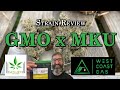 Strain Review - GMO x MKU - West Coast Gas - Licensed Micro Cultivator