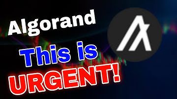 Algorand Urgent News Today! Algo coin Price Prediction
