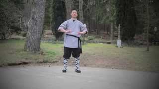 Eight Section Brocade Exercise,  Ba Duan Jin, screenshot 5