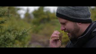 Foraging in the Woods with Lori McCarthy