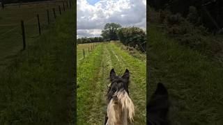 flash back to uncontrollably galloping bareback 😭🙈 #horse #equestrian #viral #fyp #trending #short