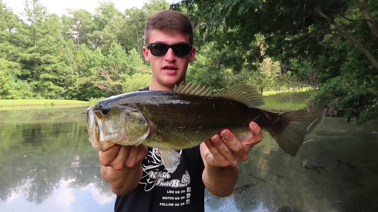 How To Fish Small Ponds Bass Fishing Tips 1080p YouTube