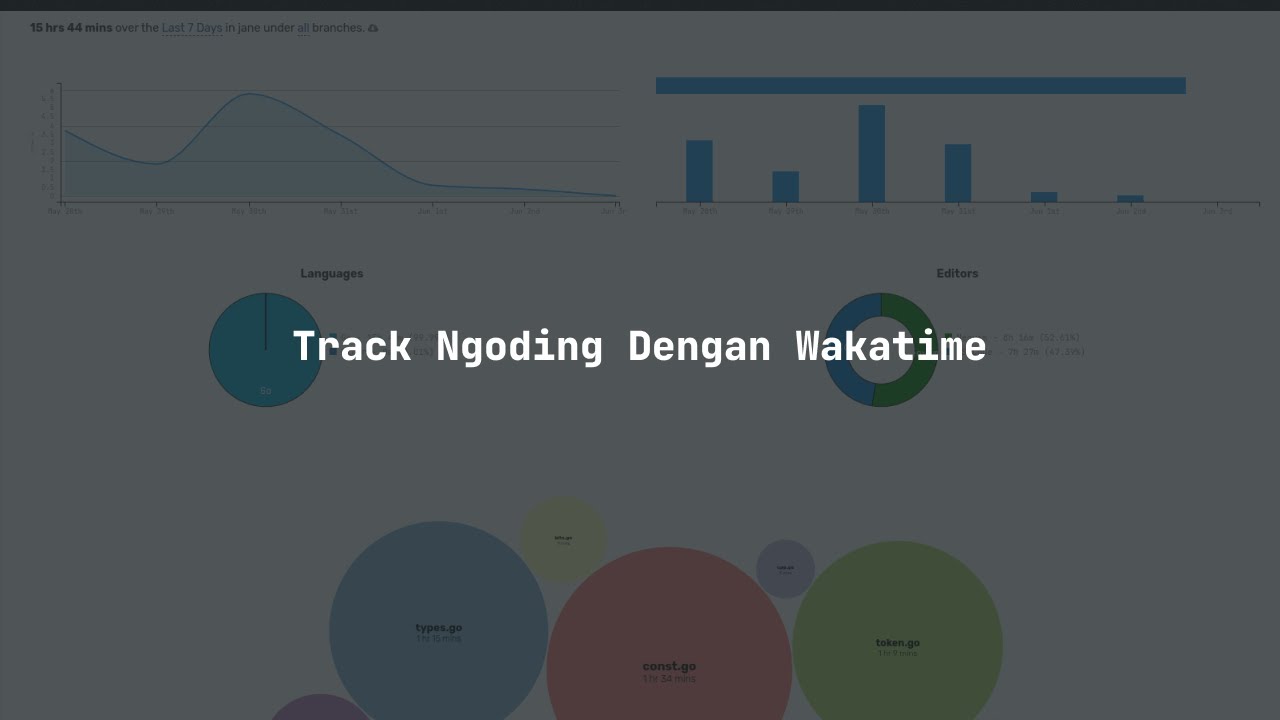 Tracking Ngoding Kamu Dengan Wakatime 🔥 - YouTube