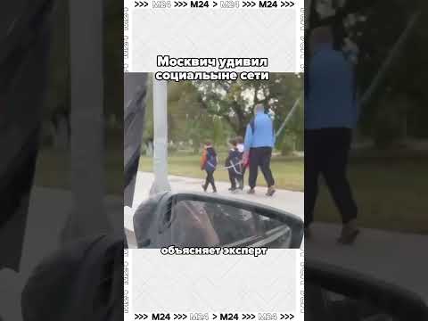 Бурю разных эмоций вызвал ролик в соцсетях, на котором москвич выгуливает троих детей на «поводке».