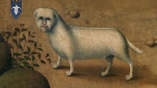 Surviving Life as a Dog in the Middle Ages...