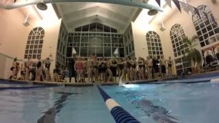 2016 Bees Swim Senior Night