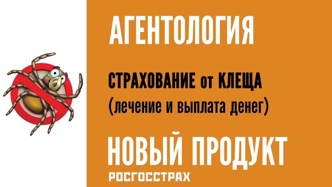 Страховка от клеща киров. Агентология росгосстрах. Страховка от клеща. Росгосстрах защита от клеща. Страхование от клеща росгосстрах.