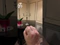 Produce fire magically from hand