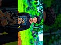 #edit #viral #shortsviral #timelapse