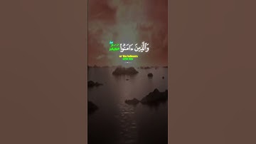 يَـٰٓأَيُّهَا ٱلَّذِينَ ءَامَنُوا۟ تُوبُوٓا۟ إِلَى ٱللَّهِ تَوْبَةًۭ نَّصُوحًا || القارئ اسلام صبحي
