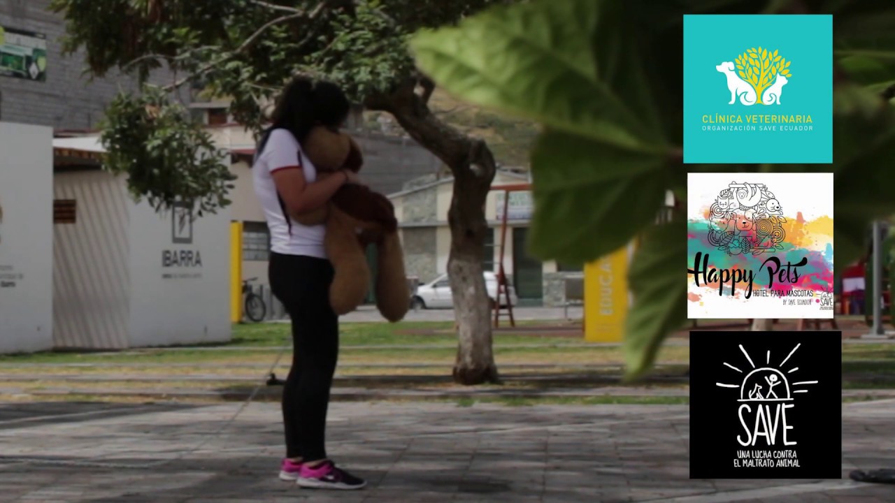 Todos los videos