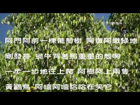 蝸牛與黃鸝鳥 作詞: 林建昌 作曲: 陳弘文 教唱版 簡譜 中文字幕 人聲演唱: 寇佳踪 John Kou