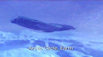 Star Trek - The Borg Reaches Earth