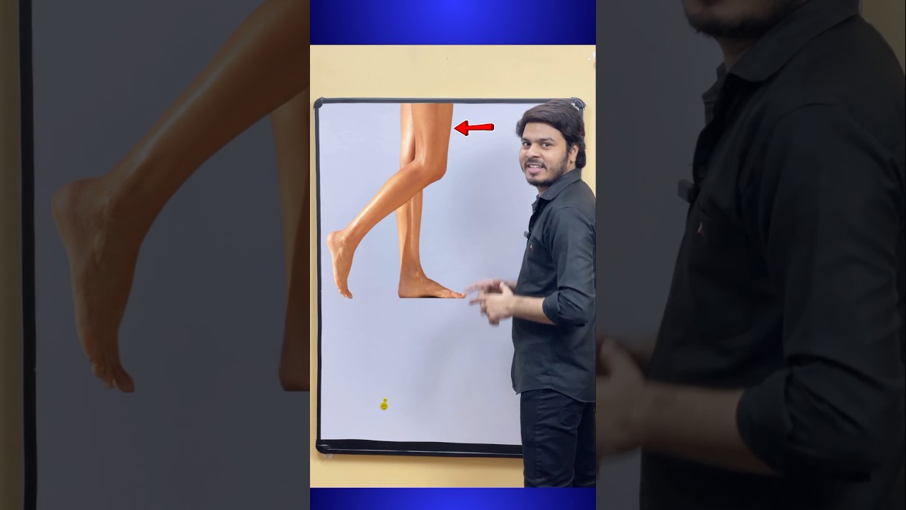 Do you know all parts of your leg in English ? 🦵 