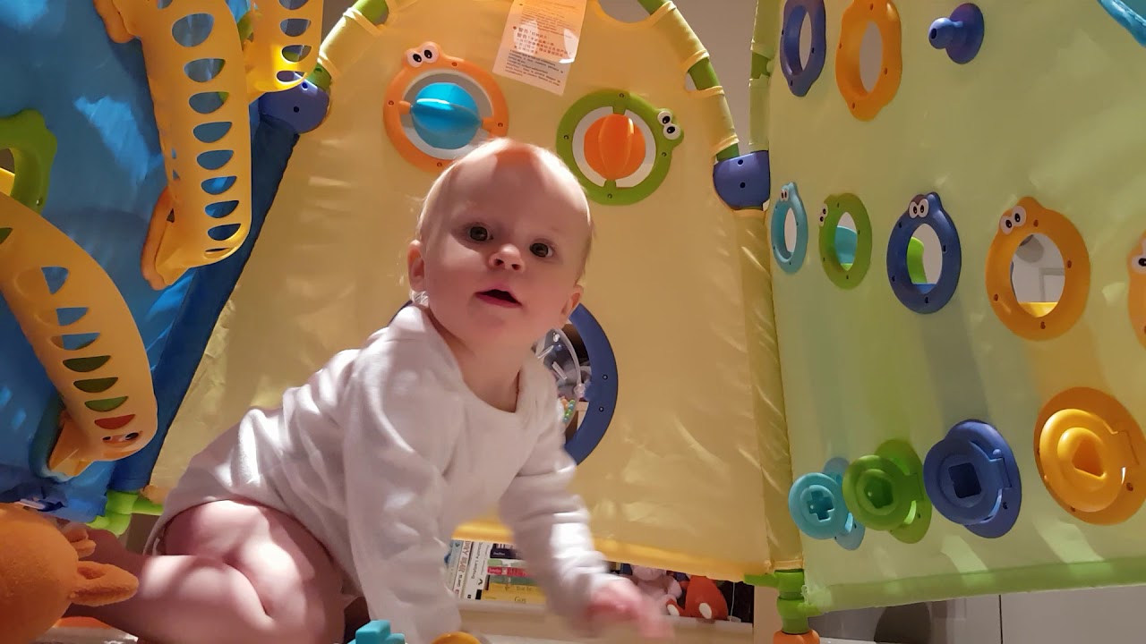 camera iphone 8 plus apk Up Dine