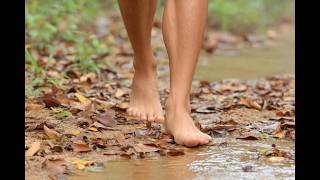 SEARCHER FOR SUMMER WELLS TOLD ME FOOTPRINT INFORMATION @donbyt