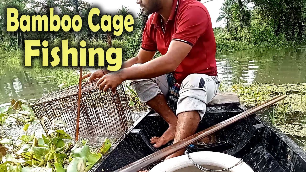 Real Bamboo Cage Fishing in Natural Environment | Best Fishing Video