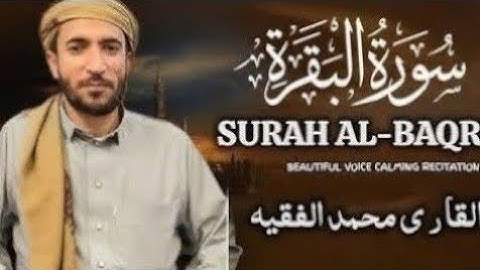 surah Al Baqra | sheikh mohammad faqih | heart touching recitaion |#quran #viral #video