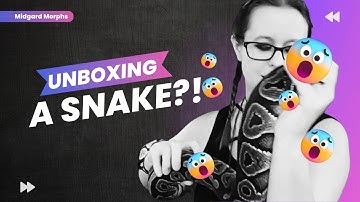 New cinnamon het genetic stripe ball python