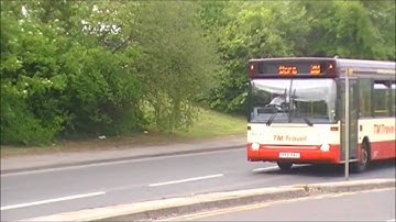 TM Travel Plaxton Pointer