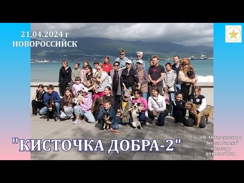 Видео: КИСТОЧКА ДОБРА. Новороссийск. Помощь четвероногим друзьям.